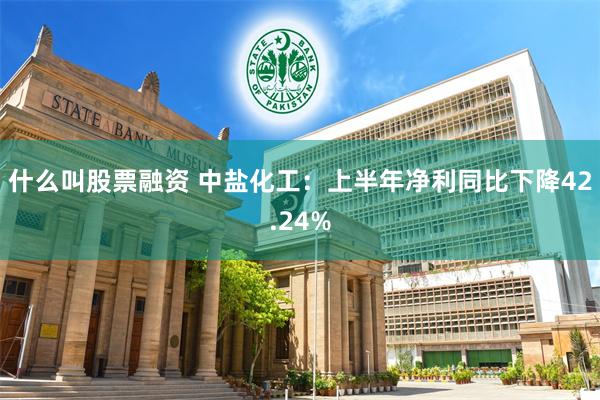 什么叫股票融资 中盐化工：上半年净利同比下降42.24%