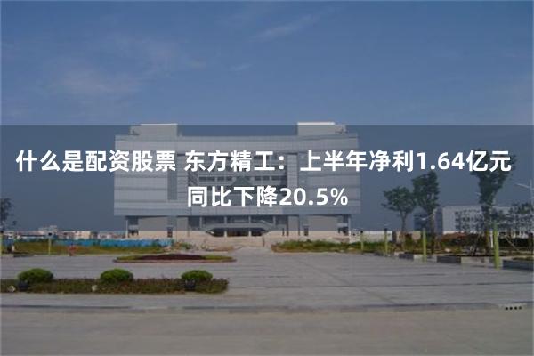 什么是配资股票 东方精工：上半年净利1.64亿元 同比下降20.5%