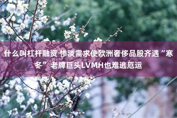 什么叫杠杆融资 惨淡需求使欧洲奢侈品股齐遇“寒冬” 老牌巨头LVMH也难逃厄运