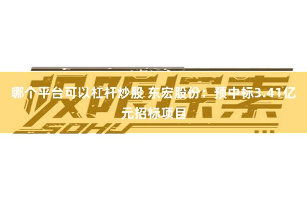 哪个平台可以杠杆炒股 东宏股份：预中标3.41亿元招标项目