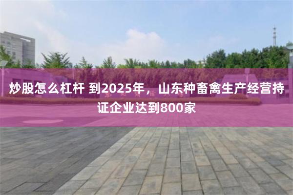 炒股怎么杠杆 到2025年，山东种畜禽生产经营持证企业达到800家