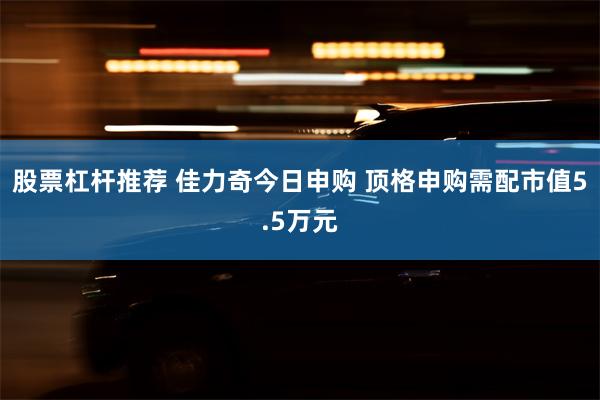 股票杠杆推荐 佳力奇今日申购 顶格申购需配市值5.5万元