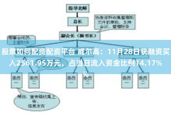 股票如何配资配资平台 威尔高：11月28日获融资买入2561.95万元，占当日流入资金比例14.17%