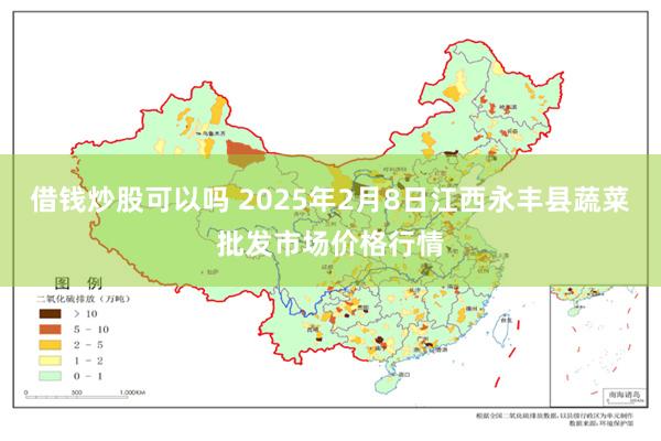 借钱炒股可以吗 2025年2月8日江西永丰县蔬菜批发市场价格行情