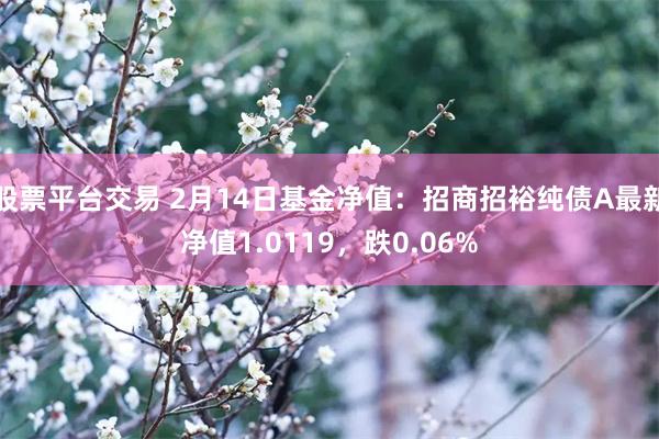 股票平台交易 2月14日基金净值：招商招裕纯债A最新净值1.0119，跌0.06%