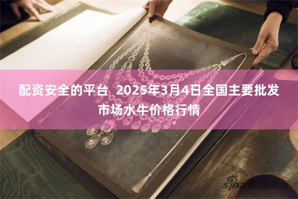 配资安全的平台  2025年3月4日全国主要批发市场水牛价格行情