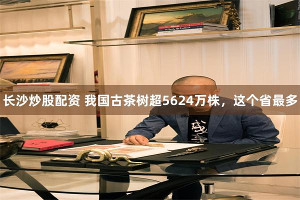 长沙炒股配资 我国古茶树超5624万株，这个省最多