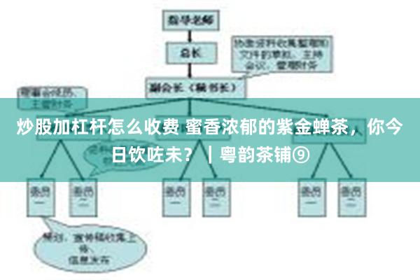 炒股加杠杆怎么收费 蜜香浓郁的紫金蝉茶，你今日饮咗未？｜粤韵茶铺⑨